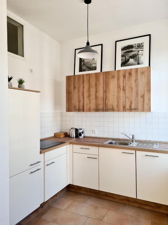 1-Raum-Wohnung Zentral Gelegen Dresden Exteriör bild